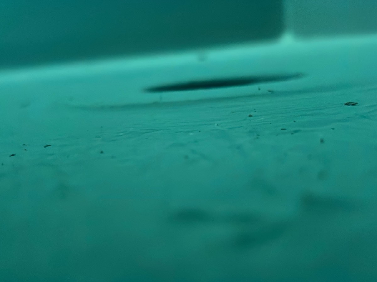Waterproofing inspection in Austral